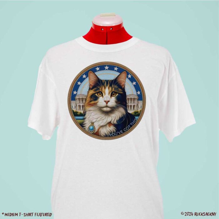 T-Shirt: You've Got This